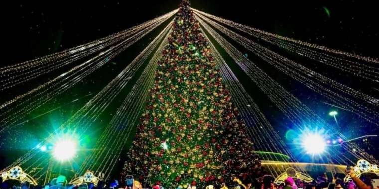 Семейде мұғалімді шырша құруға жұмсаған шенеуніктерге шара қолданылды