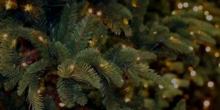 Семейдегі шыршаны мұғалімдер құрады. Жауапты коммуналдық мемлекеттік қазыналық кәсіпорны болған