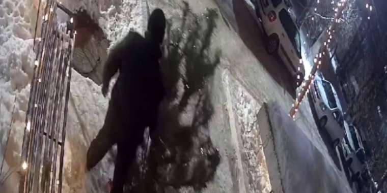 Оралда ауладағы шыршаны ұрлаған адам қолға түсті