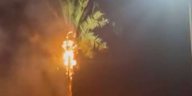 Ақтаудағы жасанды пальмалардың бірі өртеніп кетті (ВИДЕО)