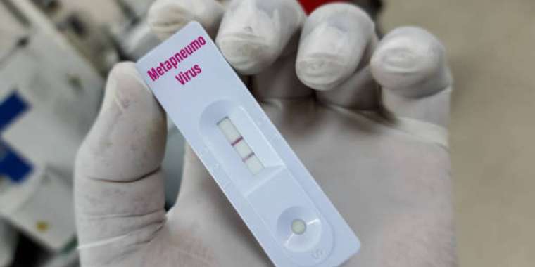Жетісу облысында бір адамнан метапневмовирус анықталды