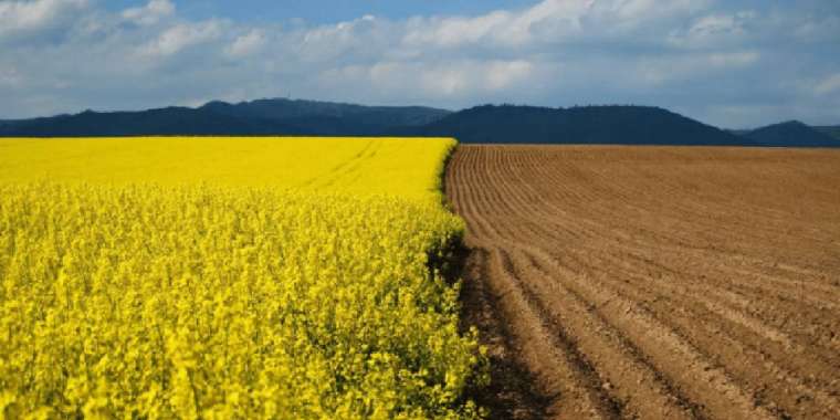 612 латифундистің қанша гектар жерді иеленіп алғаны анықталды