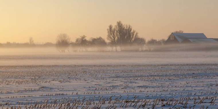 Биыл пайдаланылмай жатқан 2 млн га жер мемлекетке қайтарылады