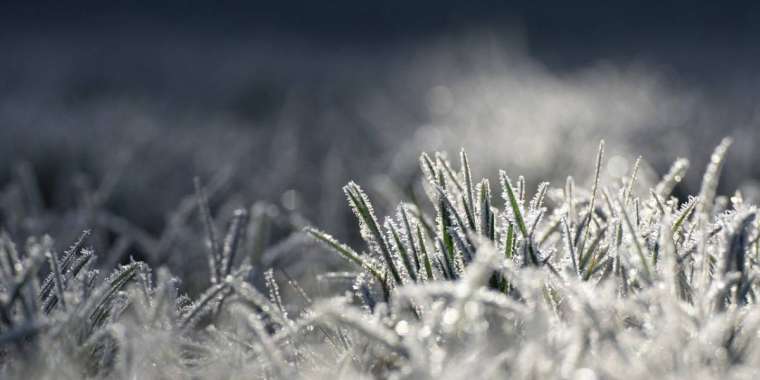 Демалыста ауа райы қандай болады