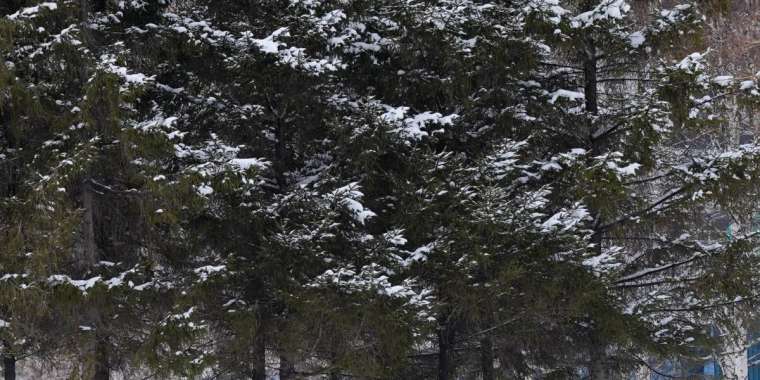 Елімізде ауа температурасының жарты ғасырдай уақыттан бергі рекорды жаңарды