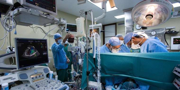 Қайын інісі жеңгесіне бауырын берген: Қызылордада күрделі ота жасалды