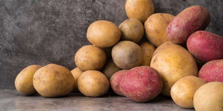 Картоп экспортына 6 айға шектеу енгізілмек