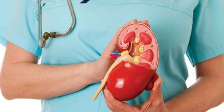 Бүйрегін 9 млн теңгеге сатқысы келген ер адам сотталып кетті