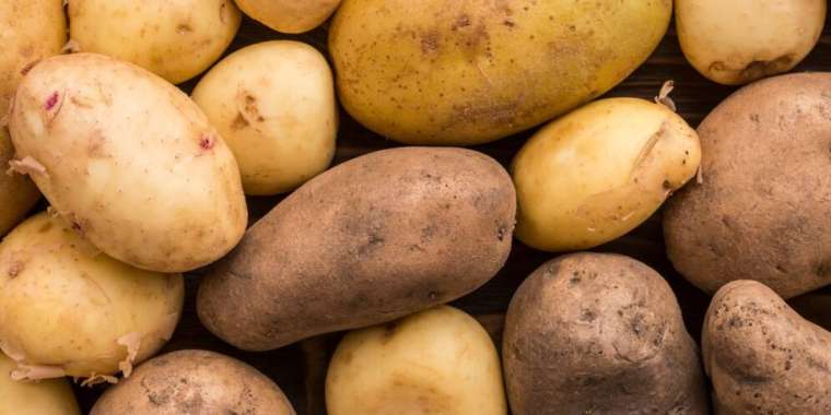 Картоп бағасын көтеру бойынша 49 заңбұзушылық анықталды – Сауда министрлігі
