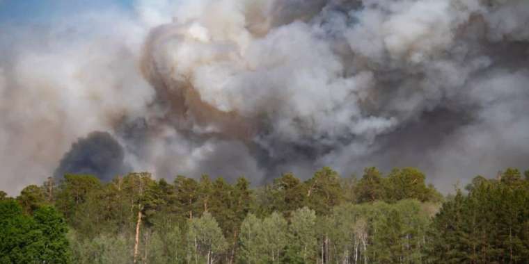 Семей орманындағы өрт бойынша бүкіл қылмыстық іс аяғына жетті