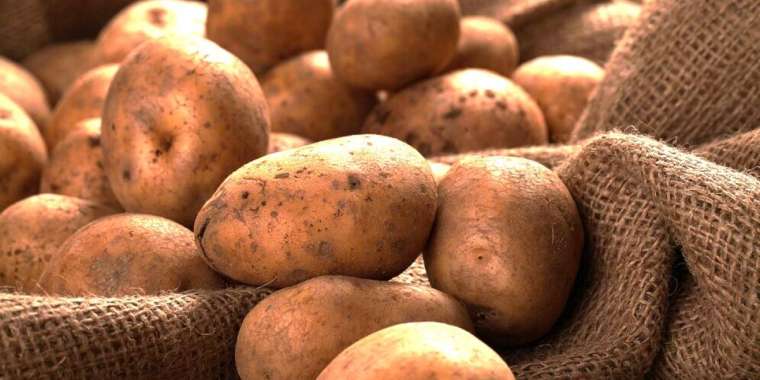 «Бір адамға – 5 келі». Астанада картоп сатуға шектеу енгізілді