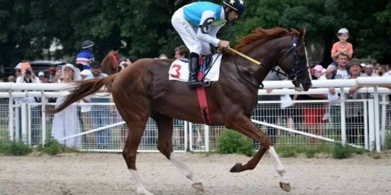 Әйгілі Кабирхан жаңа маусымдағы алғашқы жарысына қатысты