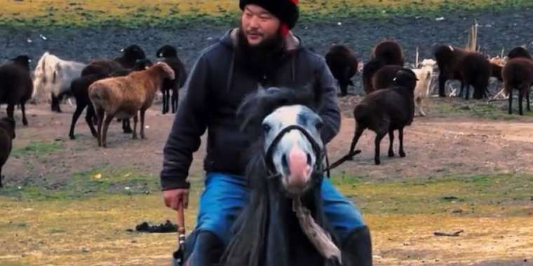 «Жылқыны қолға үйреткен қазақтар емес». Блогердің пікірі желі қолданушыларының ашуын туғызды
