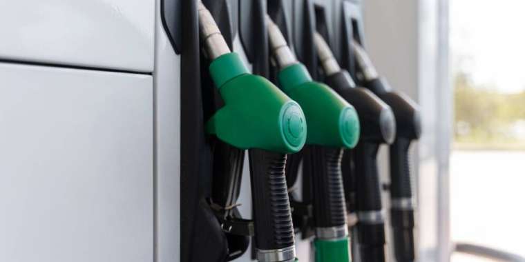 Жанармай экспортына тыйым салынғаннан кейін елде оның қоры күрт артқан