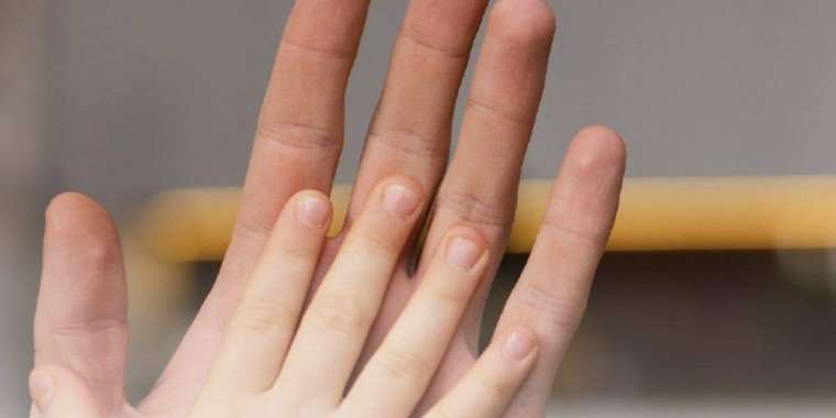 Былтыр мың жарым баланың құқығы қалпына келтірілген