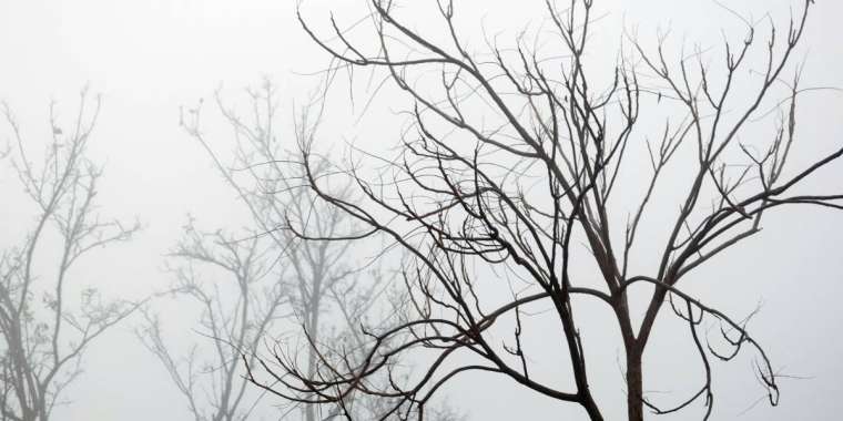 Тұман, көктайғақ... Бүгін ауа райы қалай болады?