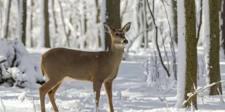 Ауа райы болжамы: 27 градус аяз, екпіні күшті жел болады