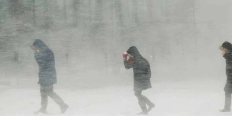 Бұрқасын, көктайғақ. Бүгінге арналған ауарайы болжамы