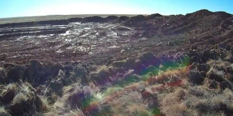 Түркістан облысында егін егетін жердің 32 пайызы сорланып кеткен