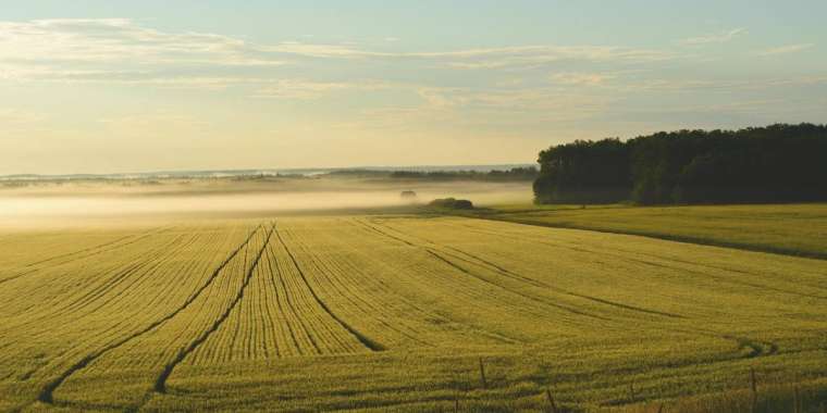 Ереже өзгерді: Қазақстанда 10 сотық жерді қалай алуға болады