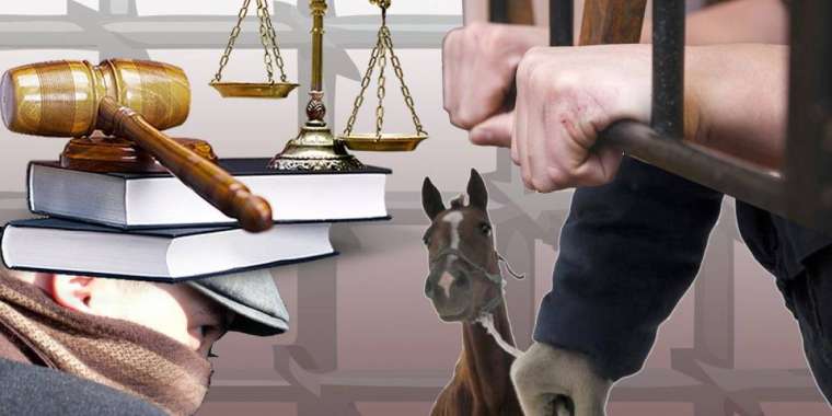 Қылмыстық топ серкесі шетелде ұсталды