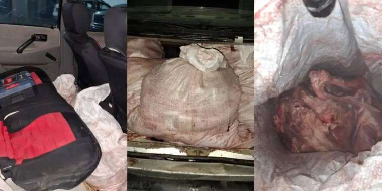 Қызылордада браконьерден 14 қап киік еті тәркіленді