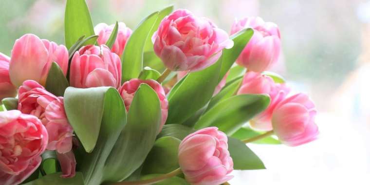 Қазақстандықтар 8 наурызда қалай демалады