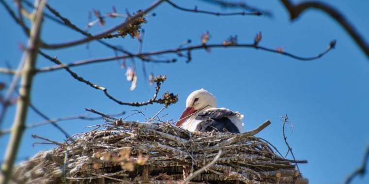 +20 градус: Наурызда ауа райы қандай болады