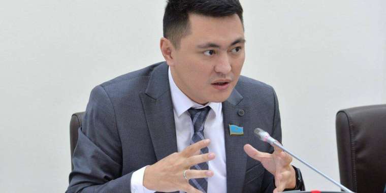 "Декретке миллионмен". Депутат өзін айыптағандарға жауап берді