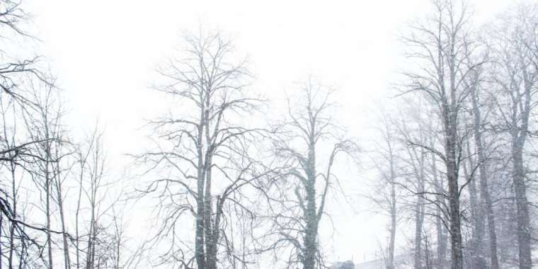 8 наурыздағы ауа райы: жаңбыр, қар және көктайғақ