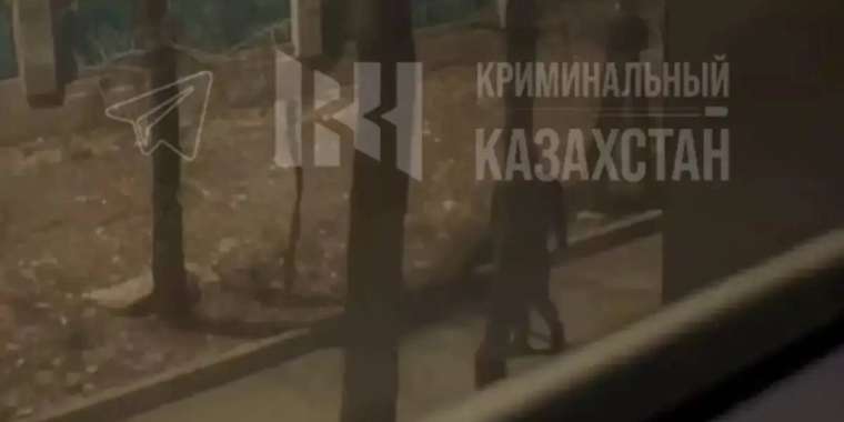 Алматыда жігіт қыздардың алдында мүшесін ұстап жүгіріп жүр