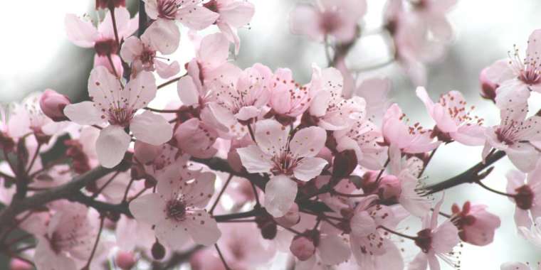 22 наурызда ауа райы қандай болады?