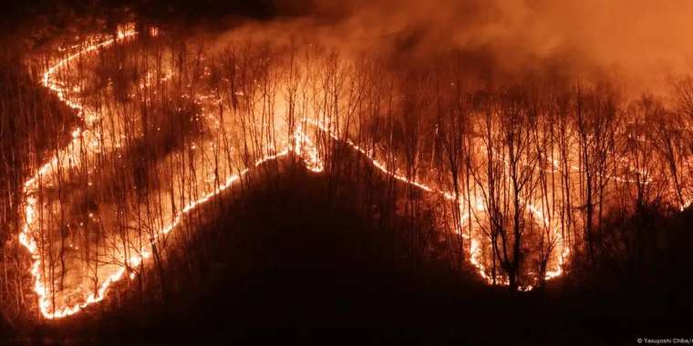 Оңтүстік Кореядағы алапат өрттен 20-дан астам қаза болды