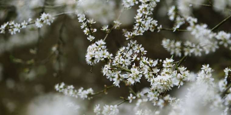 Демалыста ауа райы қандай болады?