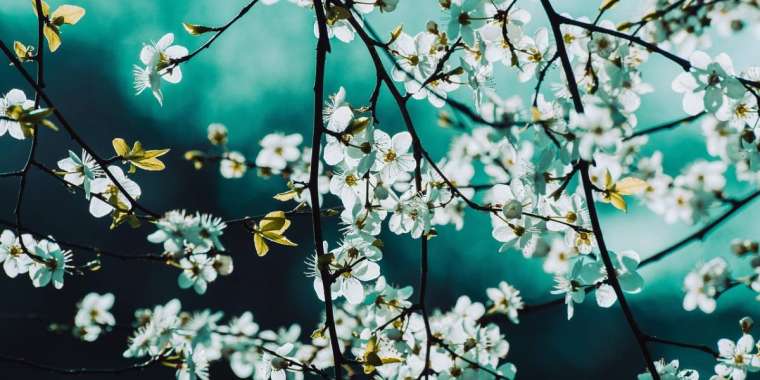 +25 ыстық. Бүгін ауа райы қандай болады?