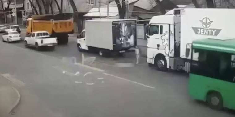 Алматыда 7 жасар қыз жантүршігерлік жол апатынан қаза тапты: жүк көлігінің жүргізушісі ұсталды