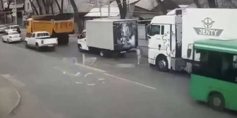 Алматыда жүк көлігі 7 жасар қызды қағып кетті: автобус жүргізушісі жауапқа тартылды