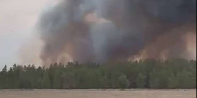 Абай облысындағы «Семей орманы» қайта өртенді