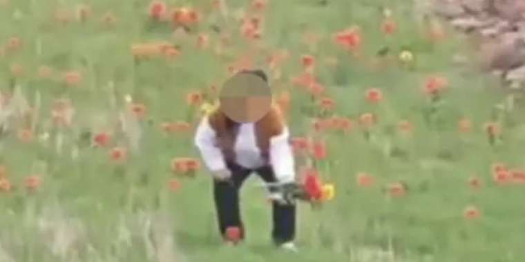 Қызғалдақ жұлған әйел 12 миллион теңгеге жуық айыппұл төлеуі мүмкін