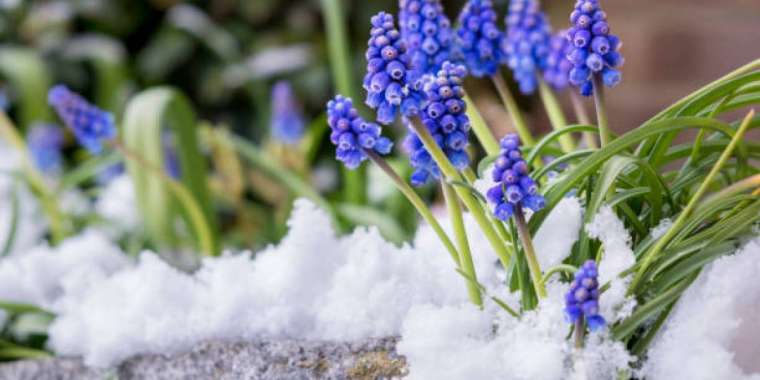 Үсік жүреді: Екі күнге арналған ауа райы болжамы