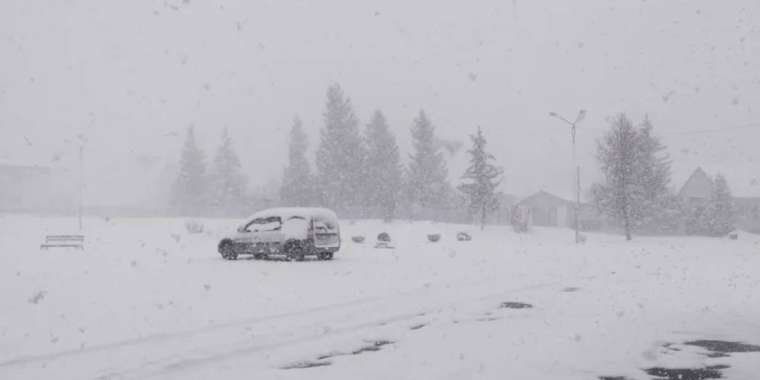 Катонқарағайда қалың қар жауды