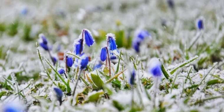 Үсік жүреді: Үш күнге арналған ауа райы болжамы қандай