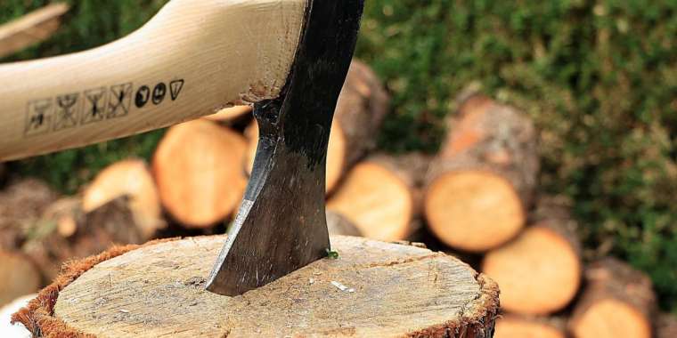 Жезқазған мен Сәтбаев әкімдіктері заңсыз ағаш кескен