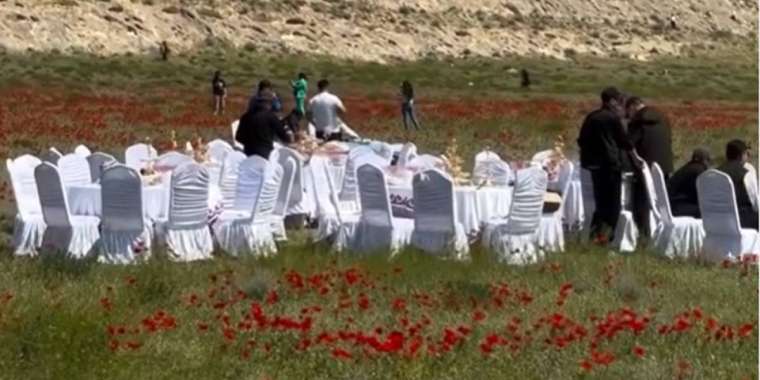 Маңғыстауда қызғалдақ үстіне дастархан жайылған: желіде видео тарады