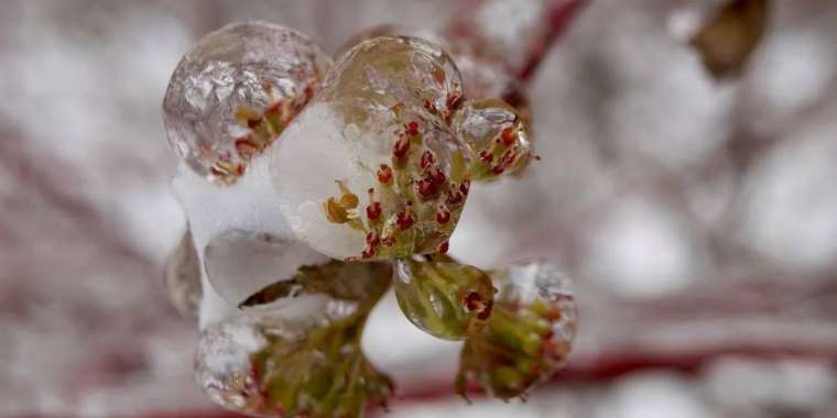 Астана мен бірнеше өңірде дауылды ескерту жарияланды