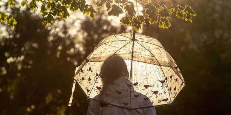 1 мамырда Қазақстанның басым бөлігінде жаңбыр жауады