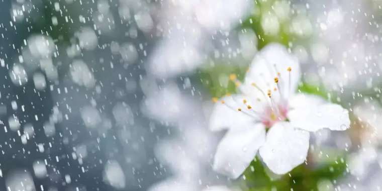 8, 9 және 10 мамырға арналған ауа райы болжамы жарияланды