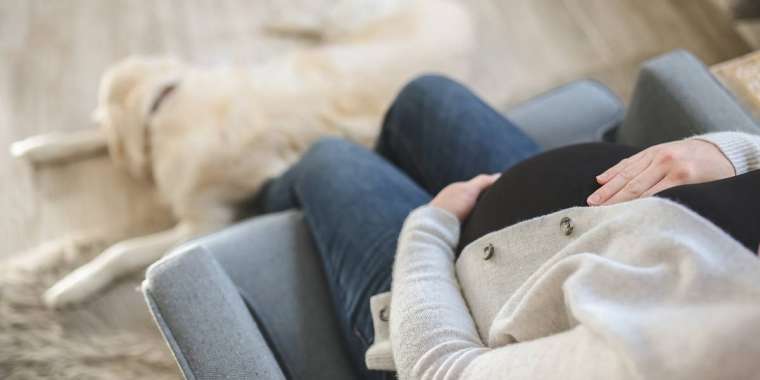 Бүгін Қазақстанда Аналар күні тойланып жатыр