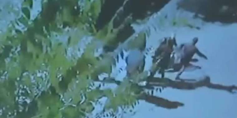 Шерзат ісі: сотта адамшошырлық кадрлар көрсетілді