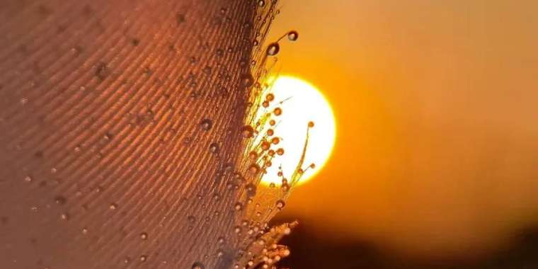 Аптап ыстық: 16 мамырға арналған ауа райы болжамы